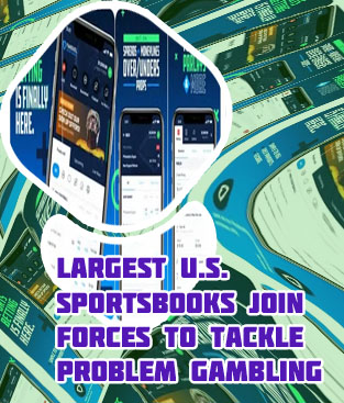 The best sportsbook app